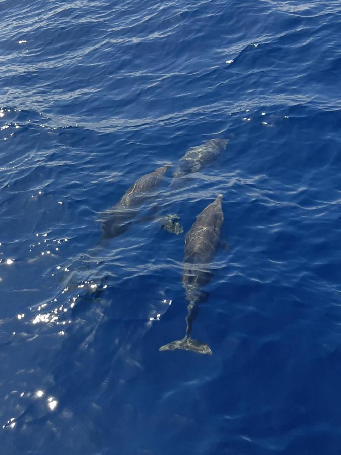 פוארטו דה סנטיאגו Tenerife Playa La Arena מראה חיצוני תמונה