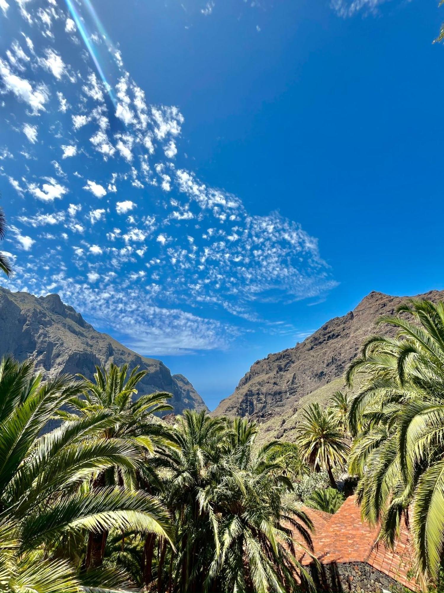 פוארטו דה סנטיאגו Tenerife Playa La Arena מראה חיצוני תמונה